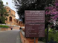 Madonna di San Lucca 05