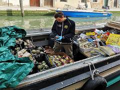 Sestiere Dorsoduro 12