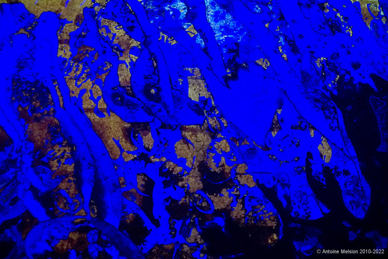 Bassins des Lumières 67 