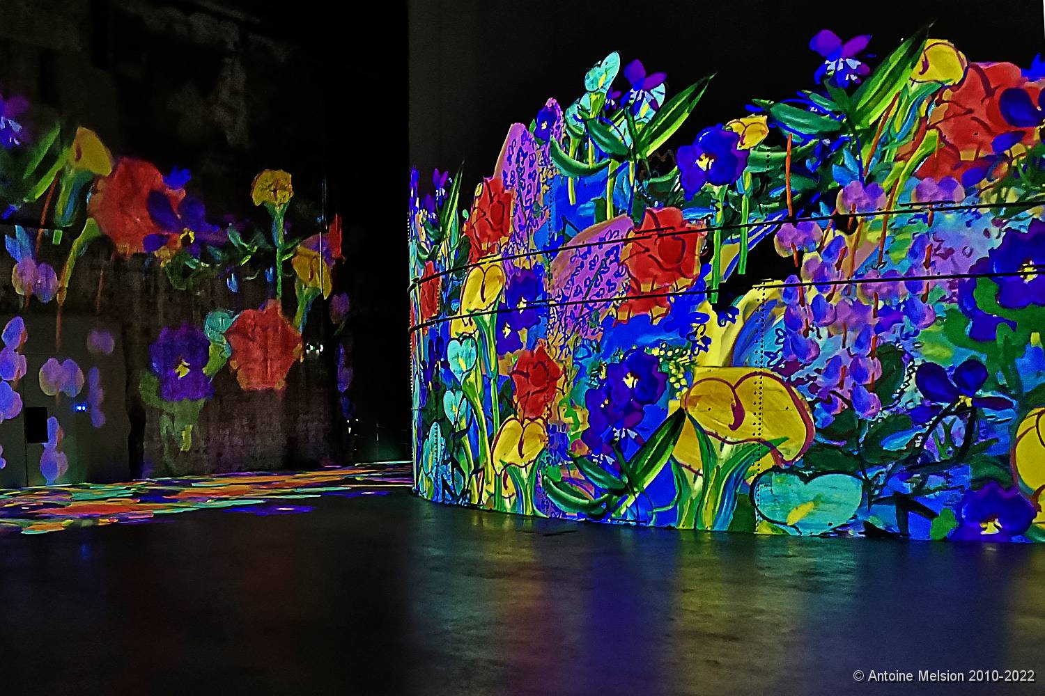 Bassins des Lumières 87 