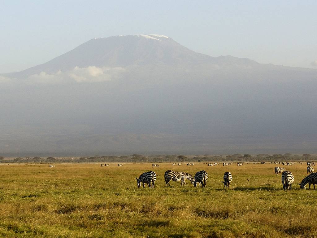 Amboseli parc