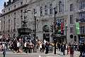Trafalgar Square et Piccadilly 10