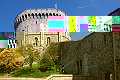 Windsor 10