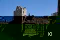Windsor 12