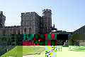 Windsor 19