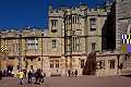 Windsor 20
