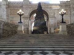 Piazza del plebiscito- Palazzo reale 12