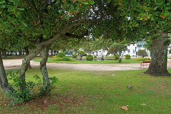 Jardin du Passeio Alegre et estuaire 02