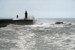 Jardin du Passeio Alegre et estuaire 07