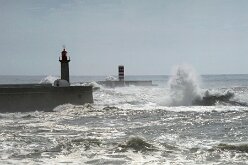 Jardin du Passeio Alegre et estuaire 09
