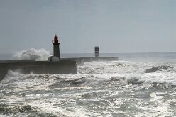 Jardin du Passeio Alegre et estuaire 10