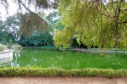Jardins du Palacio de Cristal 11