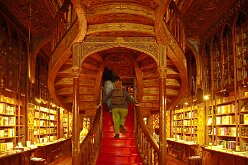 Librairie Lello 07