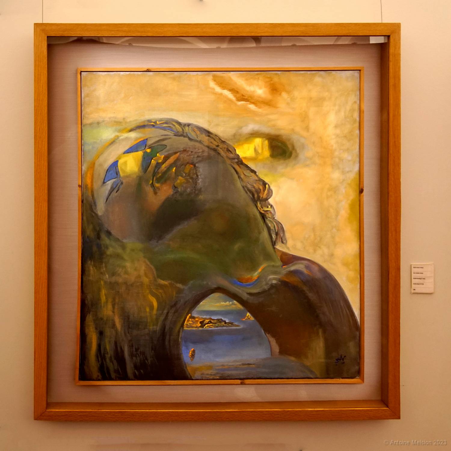 Le musée 37 