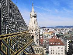 Cathédrale Saint-Etienne 23