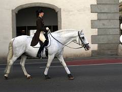 Ecole espagnole d'équitation 01