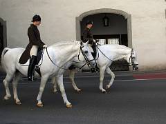 Ecole espagnole d'équitation 02