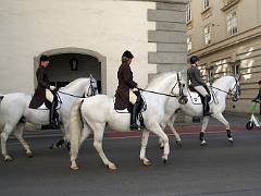 Ecole espagnole d'équitation 03