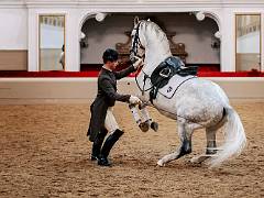 Ecole espagnole d'équitation 06