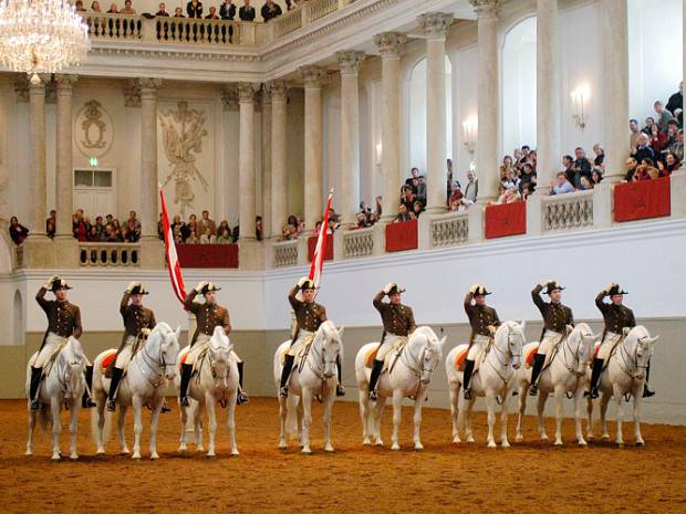 Ecole espagnole d'équitation