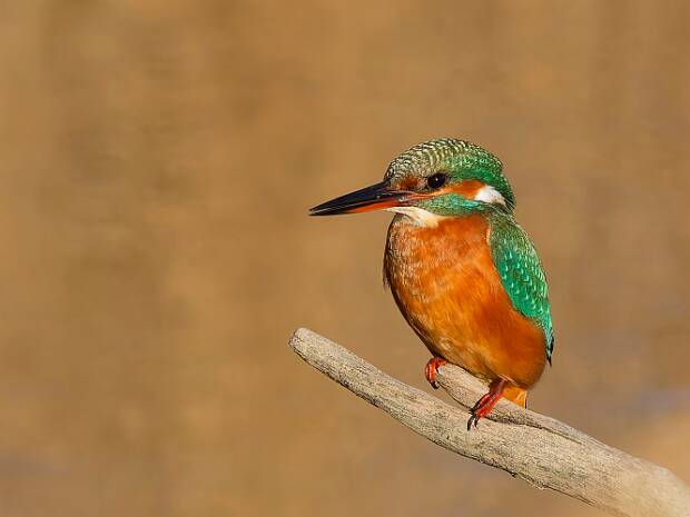 Les dernières photos