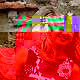 Ukraine 16