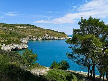 Da Trani a Vieste 14
