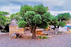 Masseria Pentima Vetrana Resort 06