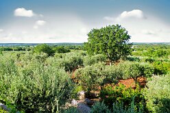 Masseria Pentima Vetrana Resort 17