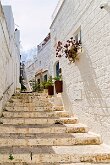 Girovagando per le strade 10