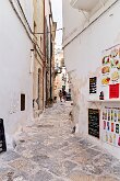 Girovagando per le strade 15