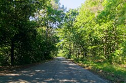 Foresta Umbra 02