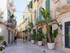 Trani