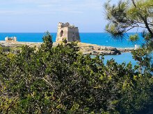 Il mare 12
