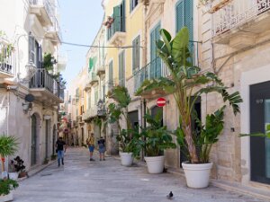 Trani