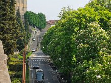 Girovagando per le strade 11