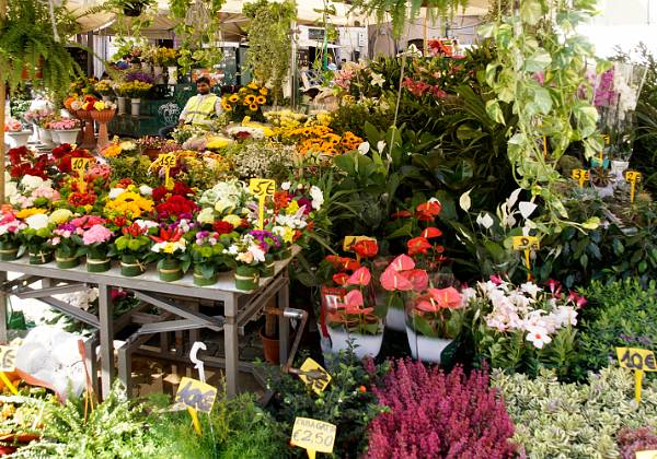 Campo di Fiori